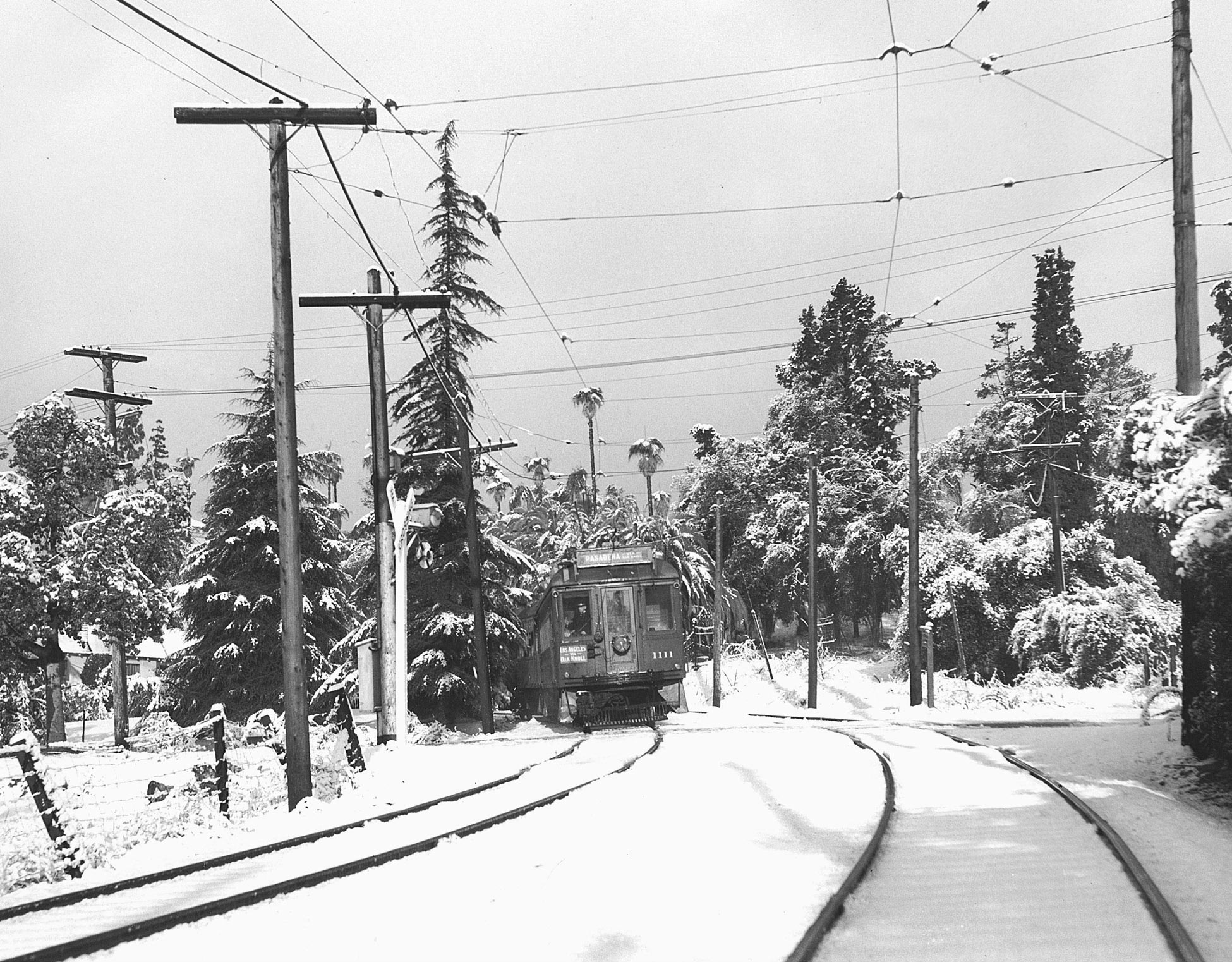 Pasadena Snow