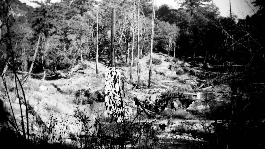 The ruins of the Alpine Tavern, photographed by Alan Weeks on February 22, 1949. 